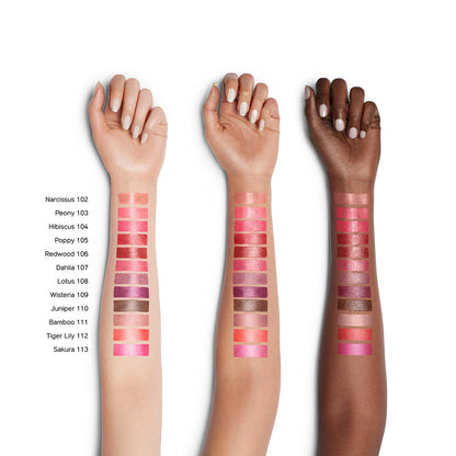 SHISEIDO MAKEUP COLORGEL LIPBALM 105